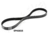 ASHIKA 112-5PK835 V-Ribbed Belts